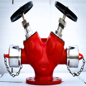 landing valve Double head (Type B) SS